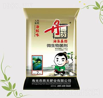 ΢�������-�������-����-����ʘI(y��)