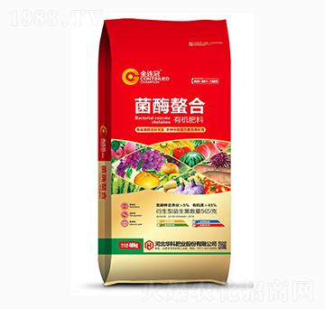 ��ø����-���B��-�A�ƷʘI(y��)