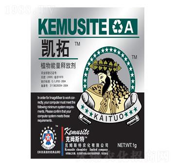 ֲ������ጷń�-�P��-