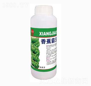 �㽶����-̩��ʘI(y��)