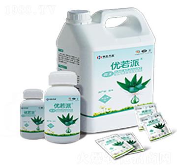 �r(n��ng)�Ç��F����-��(y��u)����-�к����