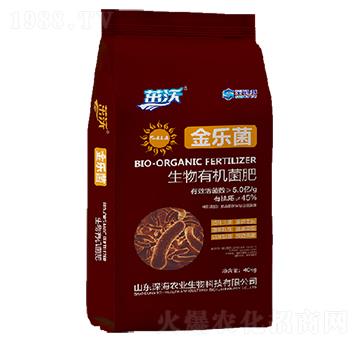 �����ЙC(j��)����-��(l��)��-��r(n��ng)�I(y��)