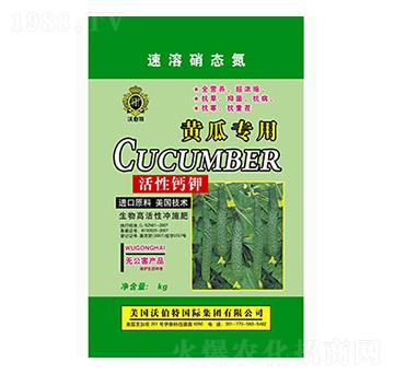 �S�ό��û����}�-�ֲ���-���r����