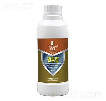 �T����-���A����