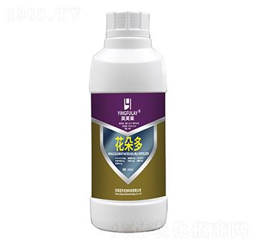 �����-Ӣܽ�R-���A����