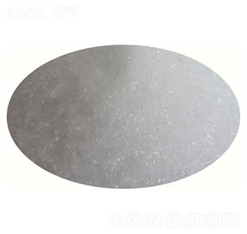 ���w���׷�-�ű���-�߸�