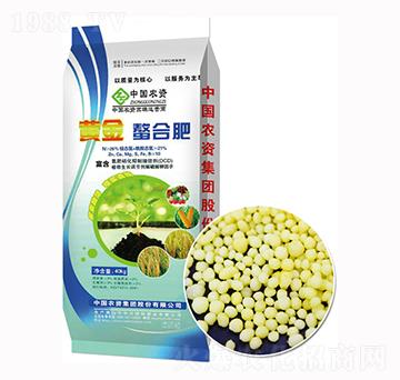 �S�����Ϸ�-����