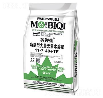 �����ʹ���Ԫ��ˮ�ܷ���11-7-40+TE-Ӣ��}-����}