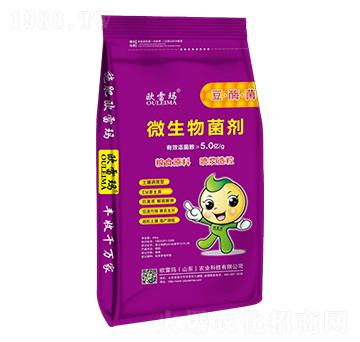 ��ø��΢�������-�W�׬�