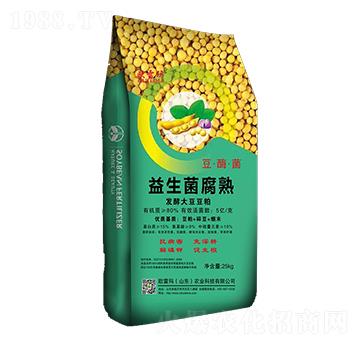 ����������l(f��)�ʹ󶹶���-�W�׬�