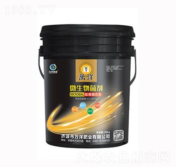 �����ɫ��΢�������-