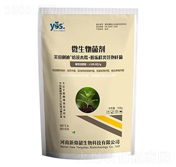 ����ľù�����z�����(l��i)ѿ�ߗU��-��������-������