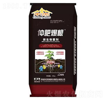 ΢�������-�ٷʱ���-��ķ˹����