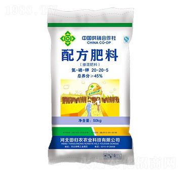 �䷽�������20-20-5-��w�r(n��ng)