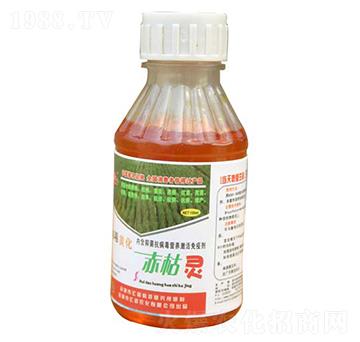 ����`-�R���r(n��ng)��