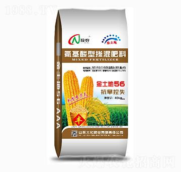 �������͓�����ϣ�40