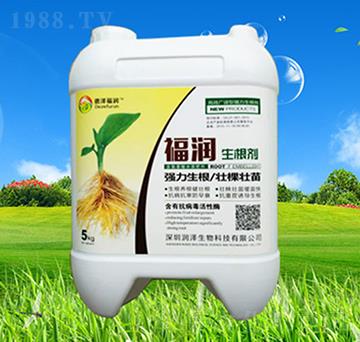 ������-����-��������