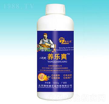 1000g�B(y��ng)��(l��)ˬ-��ԣ