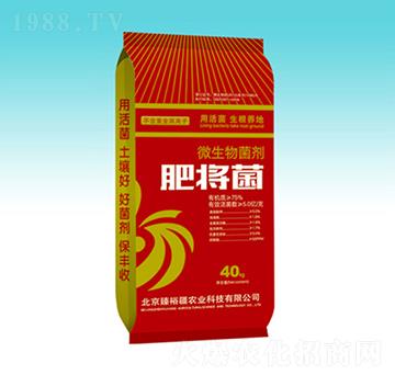 ΢�������-�ʌ���-��