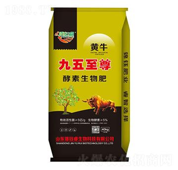 ���������-�\��