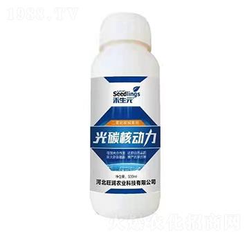 ������̼������-��̼�˄�(d��ng)��-����Ԫ-����(r��n)�r(n��ng)�I(y��)