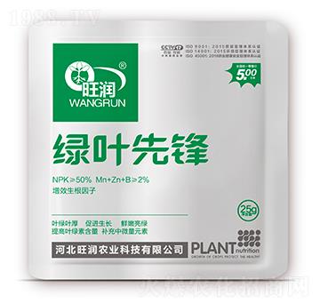 �G�~���h-�����r�I(y��)