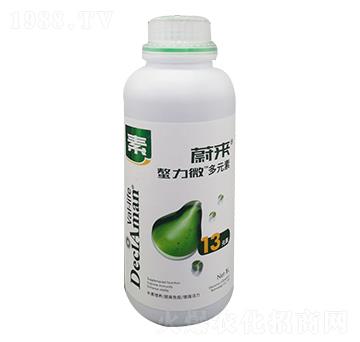 ��������13Ԫ��-ε��-�����P(y��ng)�r(n��ng)