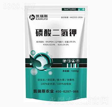 ��������-�P��˹