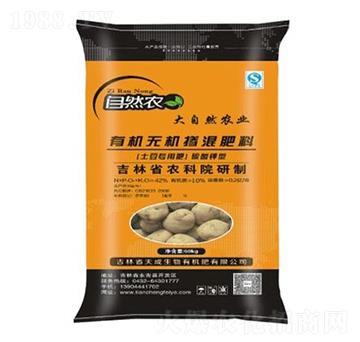 �R��팣���ЙC�o�C�������10-10-20-�������