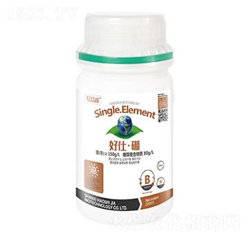 300g���ˡ���-���˼�