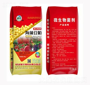 ΢�������-���嶹��-��������