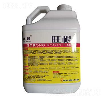 �_ʩ��-����-�����o(j��)�ʘI(y��)