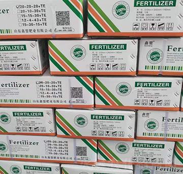 �_ʩ��-�����o�ʘI(y��)