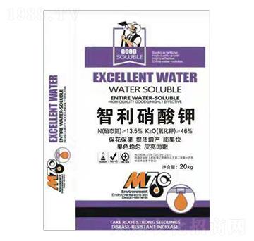 ���������-�����o�ʘI(y��)