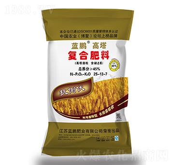 ��������͏ͺϷ���25-13-7-�{�i�ʘI(y��)