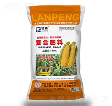 �ͺϷ���28-6-6-�{�i�ʘI(y��)