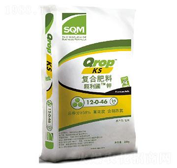 ��(f��)�Ϸ���12-0-46-�w�����-���´�