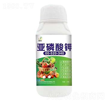 �������00-520-340-�l(f��)��