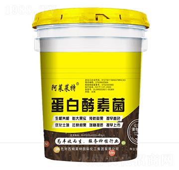 ���׽��ؾ�-��ķ�R��