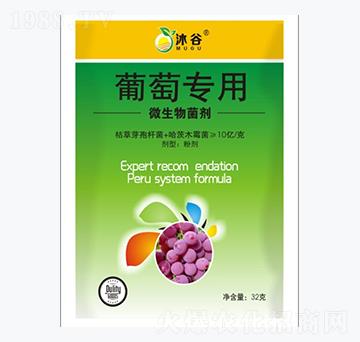 ���ь���΢�������-�������