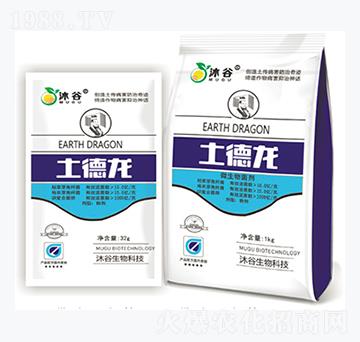 ΢�������-������-�������