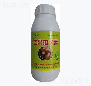 â�����L(zh��ng)��-�������