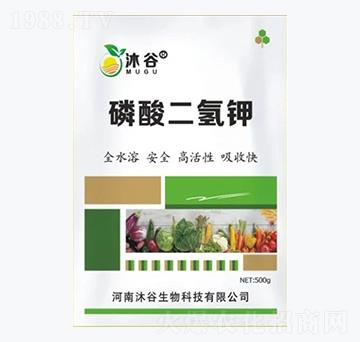 500g��������-�������