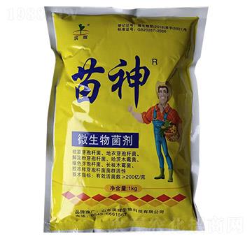 ΢�������-����-�I�x����