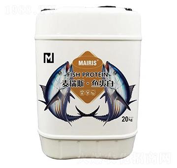 ����˹���~����-����˹