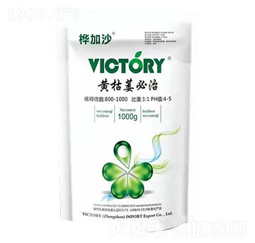 �S��ή����-���ɳ-�S������