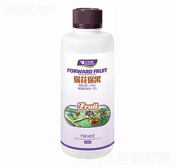 ����������-�S�A��-�S�A�ʘI(y��)