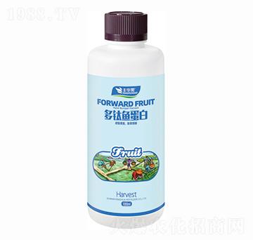 ����~����-�S�A��-�S�A�ʘI(y��)