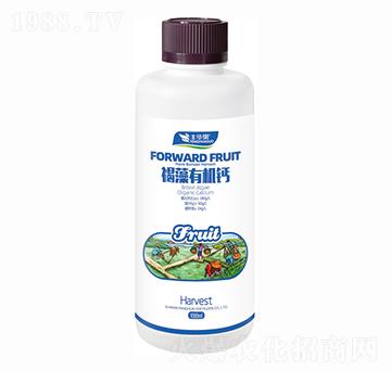 �����ЙC�}-�S�A��-�S�A�ʘI(y��)