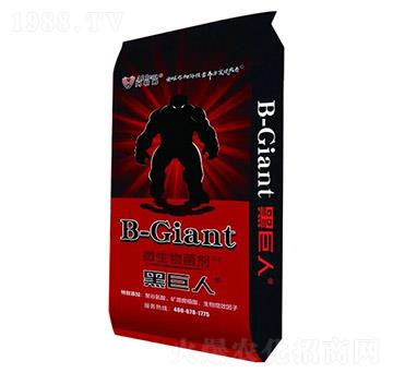 �C���w������-������-����ķ-���r�|��